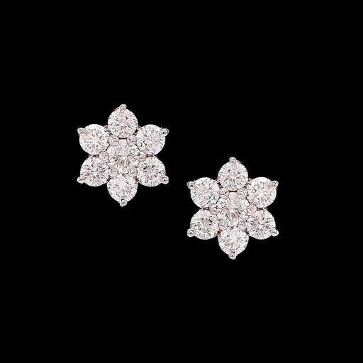 Earring 13
